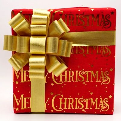 21 Fiocchi Nastro Scatola Bow_BW668