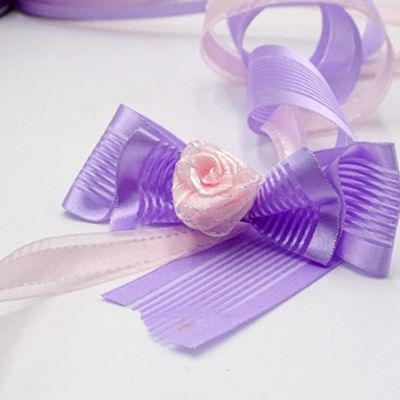 Set di nastri intrecciati principessa tenera