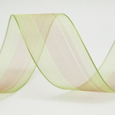 Nastro trasparente bicolore_K1627 Nastro trasparente bicolore_K1627