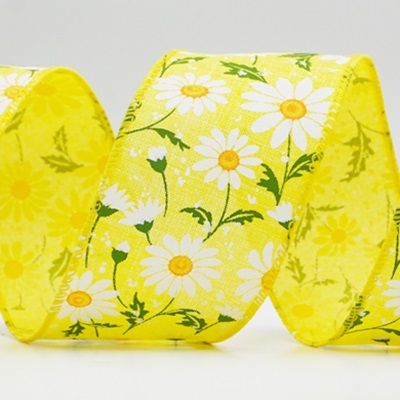 Cinta de alambre de campo de margaritas silvestres de primavera_KW0052