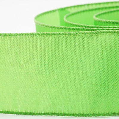 Klassisches Metallic Einfarbiges Drahtband_KW0305