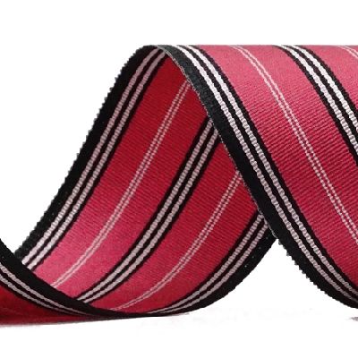 Fascia Lineis Spissis &amp; Tenuibus