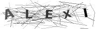 Please refresh your browser to see this image.