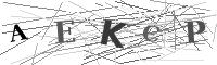Please refresh your browser to see this image.